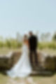 newly married couple in a vineyard